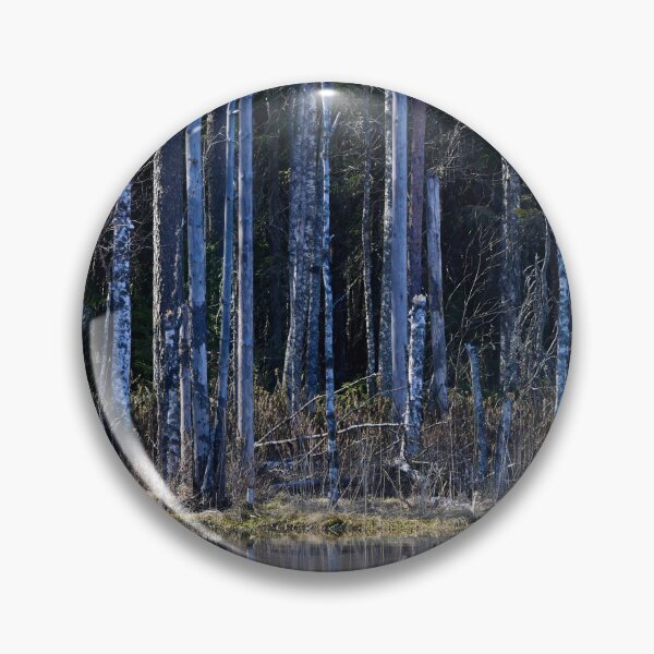 Item preview, Liesilampi. Seitseminen National Park 2026 designed and sold by Jouko Lehto Photography.