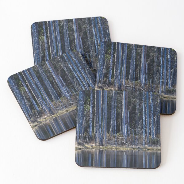Item preview, Liesilampi. Seitseminen National Park 2026 designed and sold by Jouko Lehto Photography.