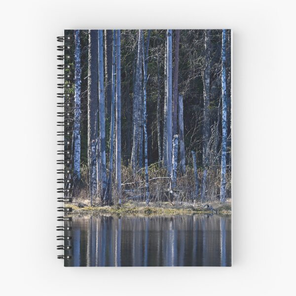 Item preview, Liesilampi. Seitseminen National Park 2026 designed and sold by Jouko Lehto Photography.