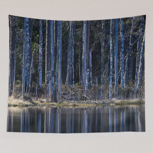 Item preview, Liesilampi. Seitseminen National Park 2026 designed and sold by Jouko Lehto Photography.