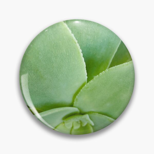 Item preview, Macro Pale Green Aeonium Succulent Rosette designed and sold by BalkanBloom.
