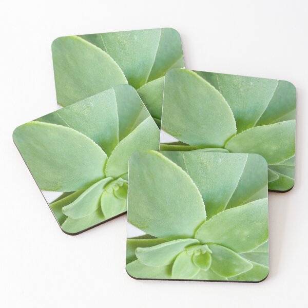 Item preview, Macro Pale Green Aeonium Succulent Rosette designed and sold by BalkanBloom.