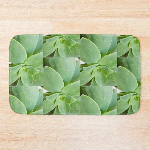 Item preview, Macro Pale Green Aeonium Succulent Rosette designed and sold by BalkanBloomArt.