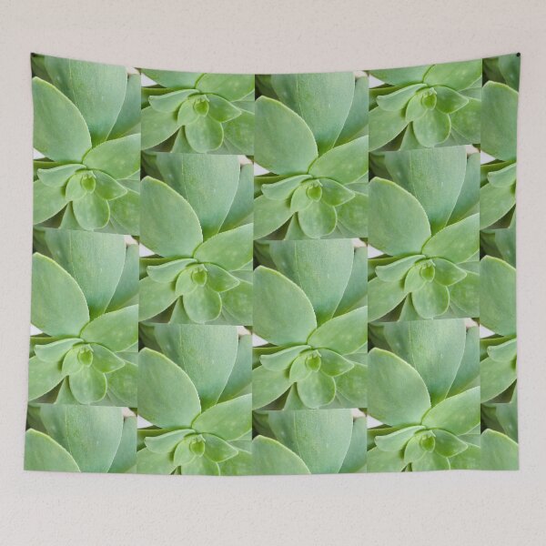 Item preview, Macro Pale Green Aeonium Succulent Rosette designed and sold by BalkanBloom.