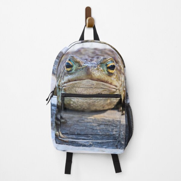Item preview, Here I am. European toad designed and sold by Jouko Lehto Photography.