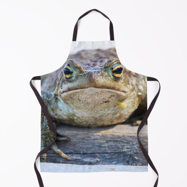 Item preview, Here I am. European toad designed and sold by Jouko Lehto Photography.