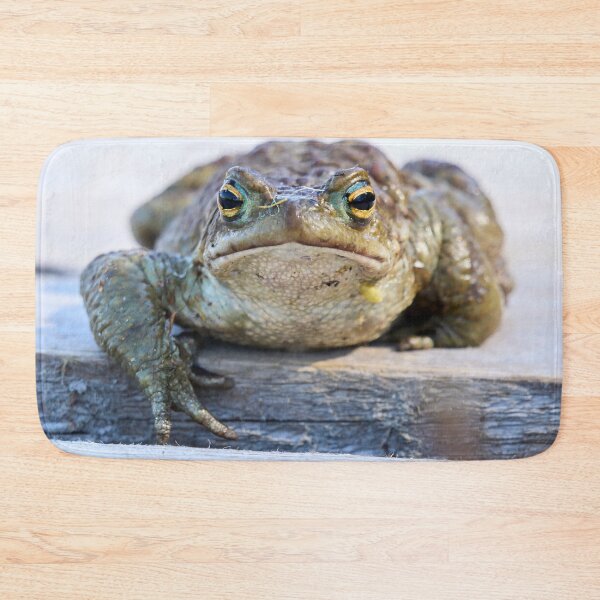 Item preview, Here I am. European toad designed and sold by Jouko Lehto Photography.