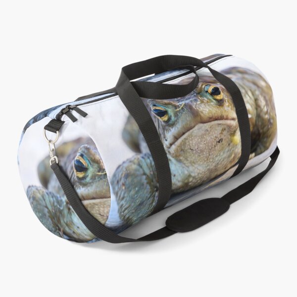 Item preview, Here I am. European toad designed and sold by Jouko Lehto Photography.