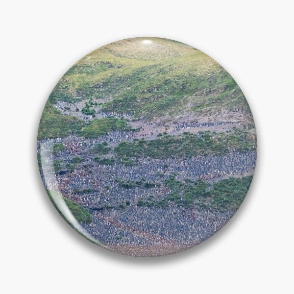 Item preview, Penguin Colony on South Georgia Island designed and sold by PhotoArt by Joan Carroll.
