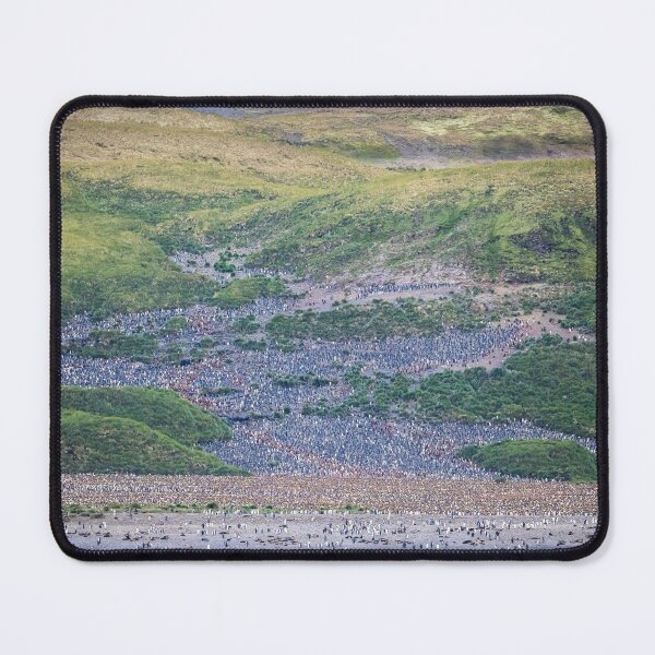Item preview, Penguin Colony on South Georgia Island designed and sold by PhotoArt by Joan Carroll.