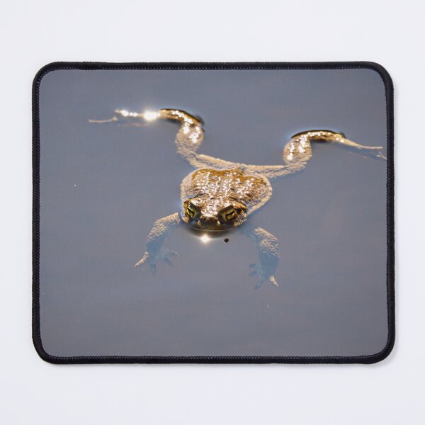 Item preview, Just relax. European toad designed and sold by Jouko Lehto Photography.