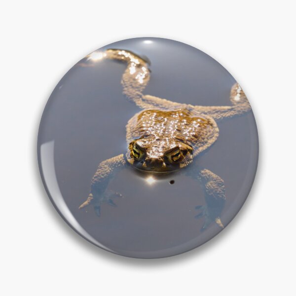 Item preview, Just relax. European toad designed and sold by Jouko Lehto Photography.