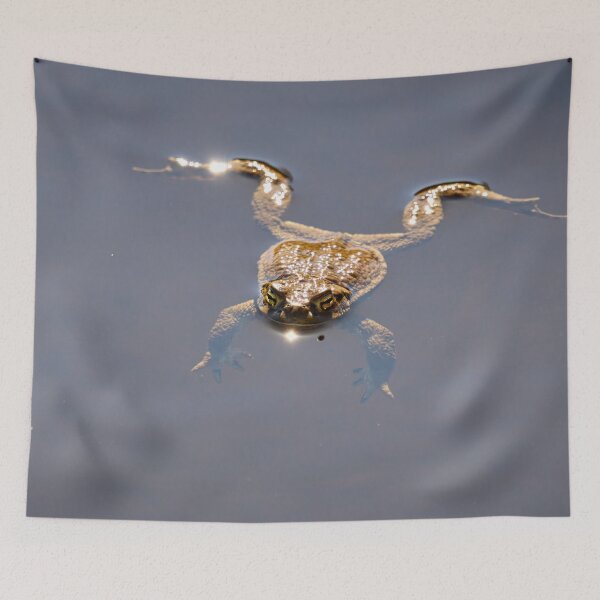 Item preview, Just relax. European toad designed and sold by Jouko Lehto Photography.