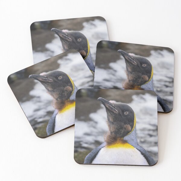 Item preview, Portrait of an Almost Adult King Penguin designed and sold by PhotoArt by Joan Carroll.