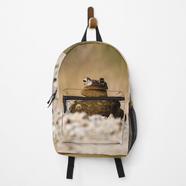 Item preview, Drylands. European toad designed and sold by Jouko Lehto Photography.
