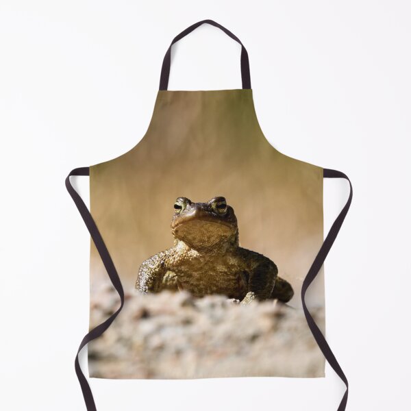 Item preview, Drylands. European toad designed and sold by Jouko Lehto Photography.