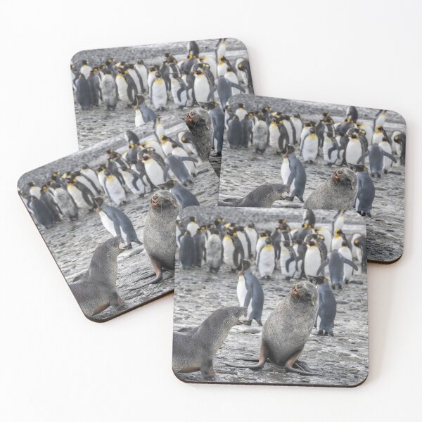 Item preview, Two Fur Seals South Georgia Island designed and sold by PhotoArt by Joan Carroll.