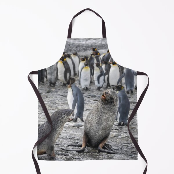 Item preview, Two Fur Seals South Georgia Island designed and sold by PhotoArt by Joan Carroll.