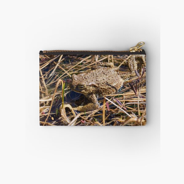 Item preview, Wetlands. European toad designed and sold by Jouko Lehto Photography.