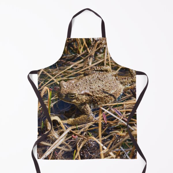 Item preview, Wetlands. European toad designed and sold by Jouko Lehto Photography.
