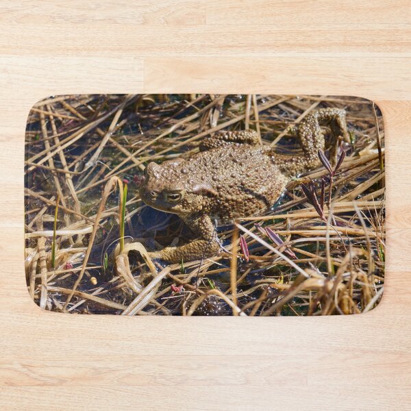 Item preview, Wetlands. European toad designed and sold by Jouko Lehto Photography.
