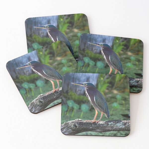Item preview, Green Heron designed and sold by SeaChelly .