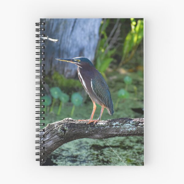 Item preview, Green Heron designed and sold by SeaChelly .