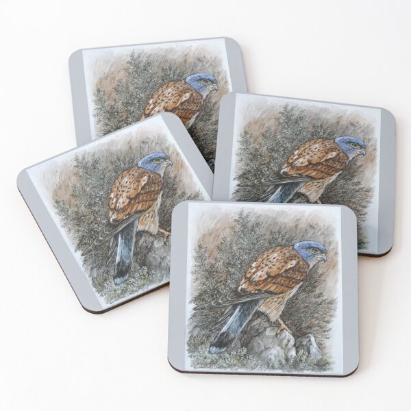 Item preview, Kestrel perched on Rock R E Whitaker designed and sold by Collector-RB.