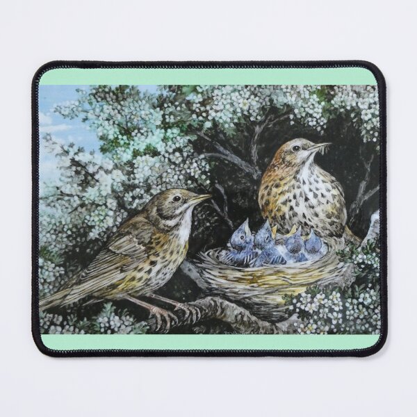 Item preview, Thrushes with chicks in nest  R E Whitaker designed and sold by Collector-RB.