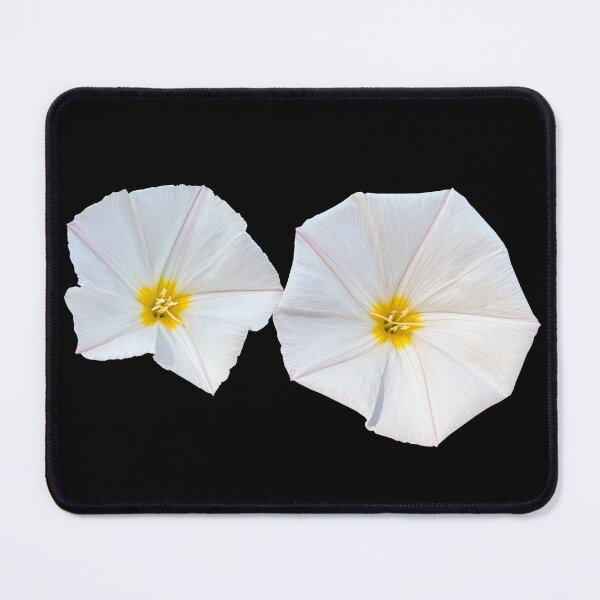 Item preview, Silvery bindweeds designed and sold by PariSeine.