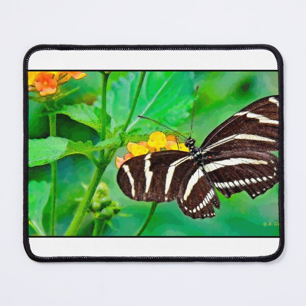 Item preview, Zebra Heliconian Butterfly, Heliconius charithonia designed and sold by AMacGPhilly.