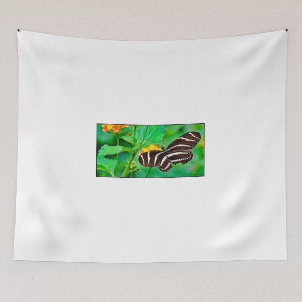 Item preview, Zebra Heliconian Butterfly, Heliconius charithonia designed and sold by AMacGPhilly.
