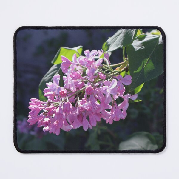 Item preview, A branch of lilac designed and sold by pivlabo.