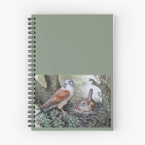 Item preview, Kestrels at nest by R  E Whitaker designed and sold by Collector-RB.