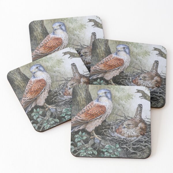 Item preview, Kestrels at nest by R  E Whitaker designed and sold by Collector-RB.