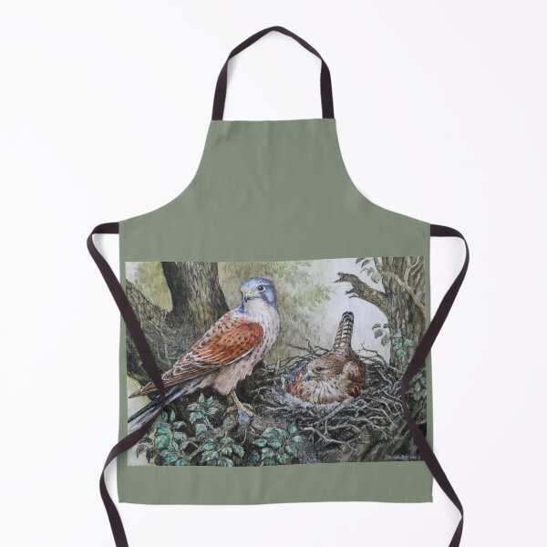 Item preview, Kestrels at nest by R E Whitaker designed and sold by Collector-RB.