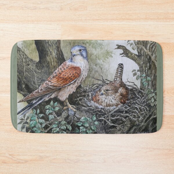 Item preview, Kestrels at nest by R  E Whitaker designed and sold by Collector-RB.