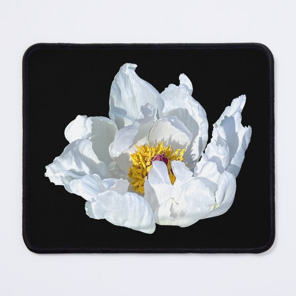 Item preview, White common garden peony  designed and sold by PariSeine.