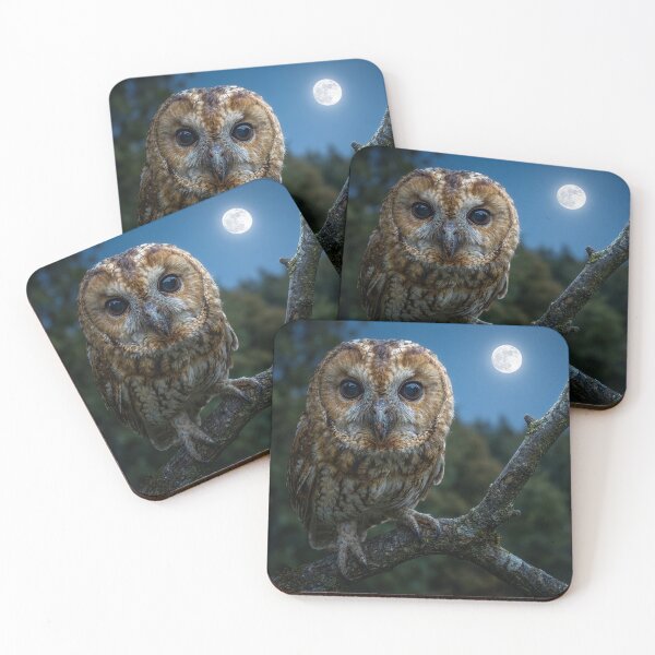 Item preview, Owl in the Moonlight designed and sold by Tridentulus.