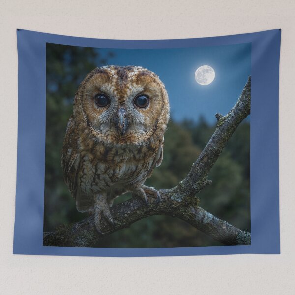 Item preview, Owl in the Moonlight designed and sold by Tridentulus.
