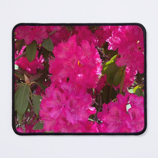 Item preview, Golden Hour Rhododendron designed and sold by Emika7.