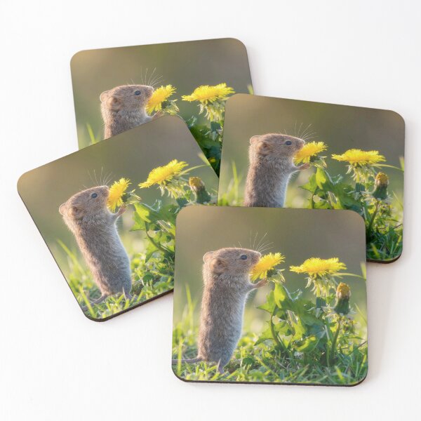 Item preview, Mouse Admiring a Yellow Dandelion designed and sold by Maria Dryfhout.
