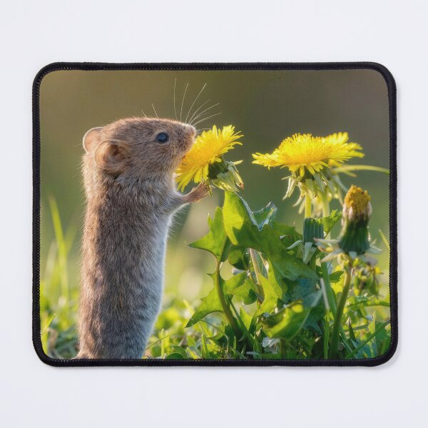 Item preview, Mouse Admiring a Yellow Dandelion designed and sold by Maria Dryfhout.