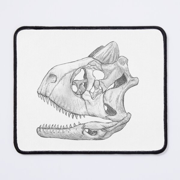 Item preview, Carnotaurus skull designed and sold by DoodleSnake58.