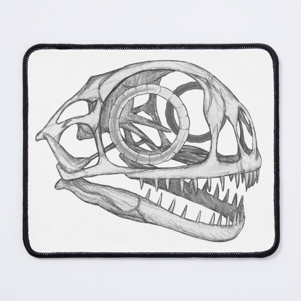 Item preview, Anurognathus skull  designed and sold by DoodleSnake58.