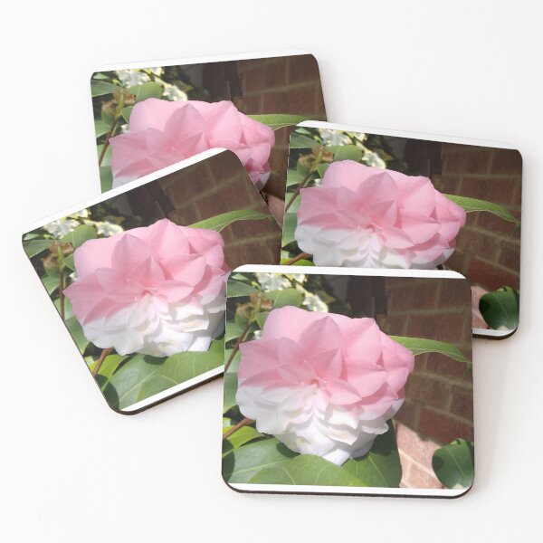 Item preview, Camilla Pink and White designed and sold by Collector-RB.
