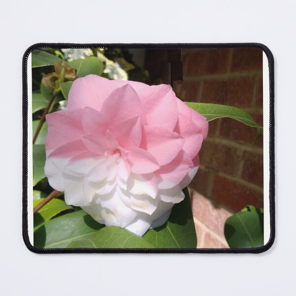 Item preview, Camilla Pink and White designed and sold by Collector-RB.