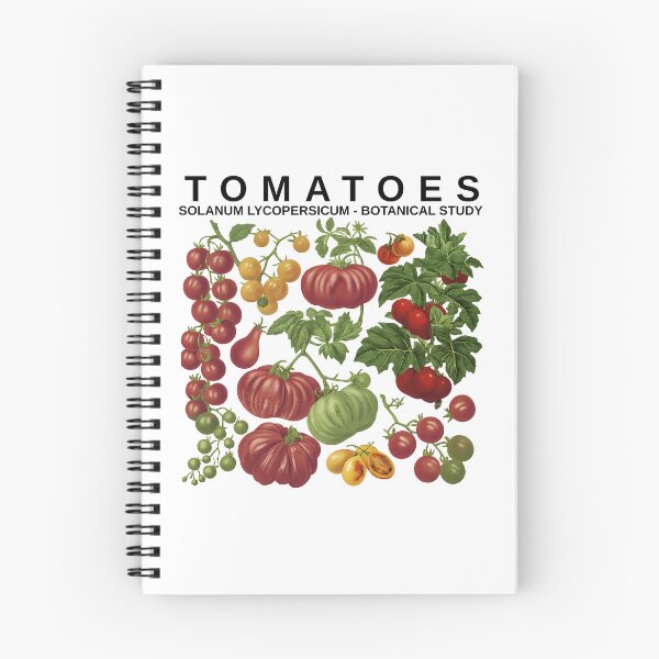 Item preview, Vintage Tomatoes Botanical Study Garden Illustration designed and sold by tarzbol.