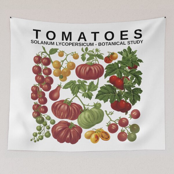Item preview, Vintage Tomatoes Botanical Study Garden Illustration designed and sold by tarzbol.