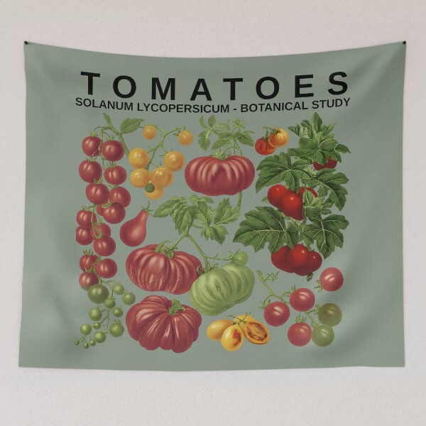 Item preview, Vintage Tomatoes Botanical Study Garden Illustration designed and sold by tarzbol.